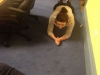 aoife1px