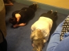 Sharon & Aoife During Plank Challenge