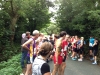 crowd6